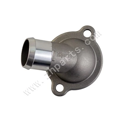 Tithíocht Thermostat do Jinbei Srm Sea Lion X30 CG12